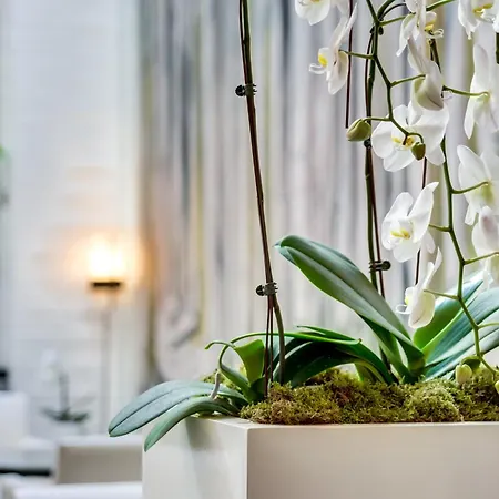 Hotel Le A - Champs-elysees